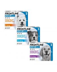 Frontline