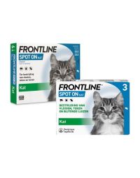 Frontline