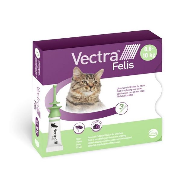 Vectra Felis