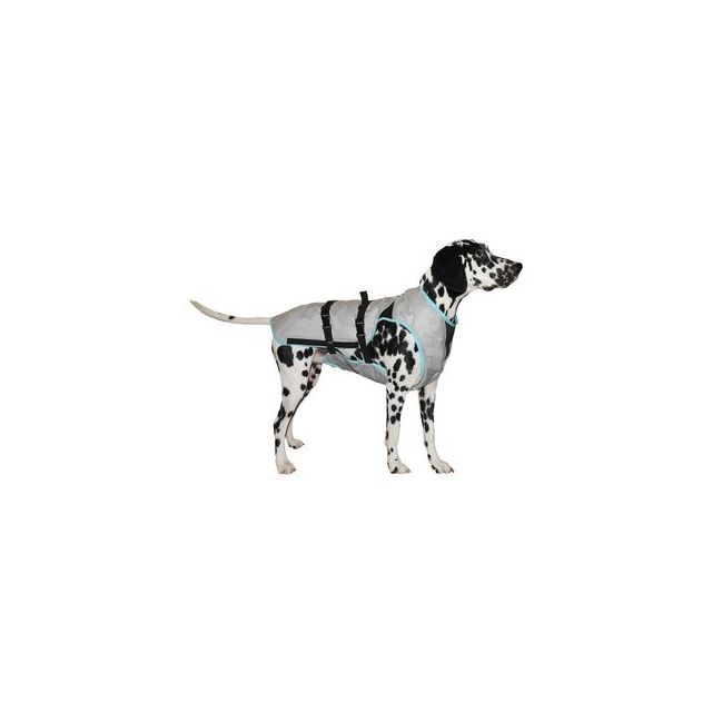 DRY Cooling Vest Dog chaleco refrescante perro