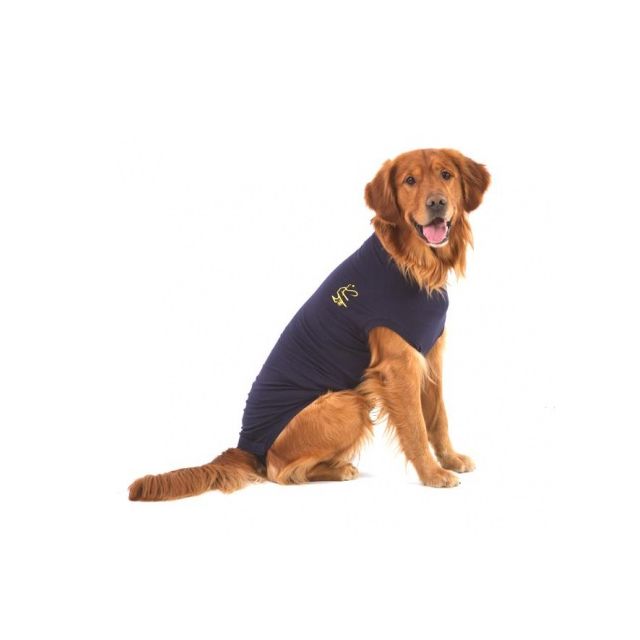 Medical Pet Shirt perros