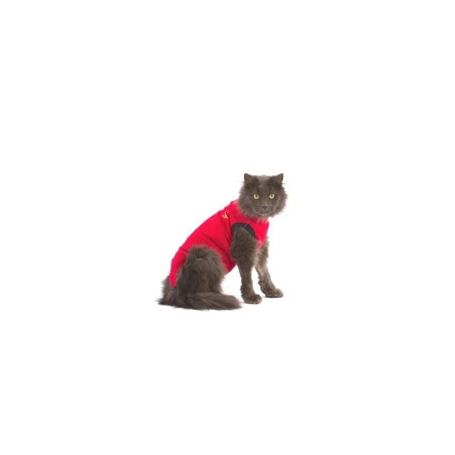 Medical Pet Shirt gatos