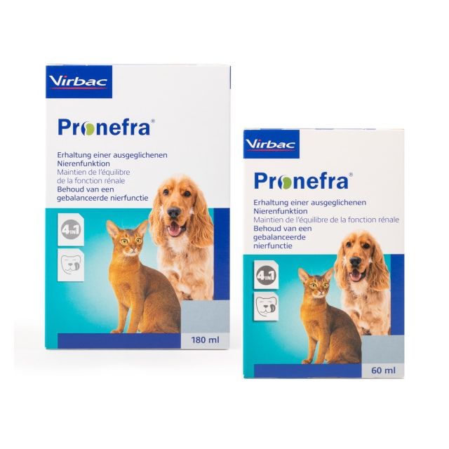 Pronefra