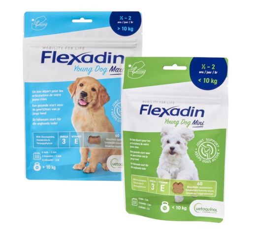 Flexadin Young Dog Maxi · Flexadin