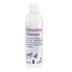 DermAllay Oatmeal Champú para perros y gatos 230 ml