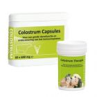 Colostrum