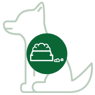 Comida para perro