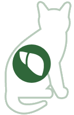 Hígado