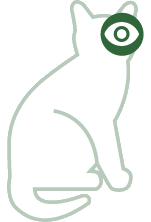 Ojos