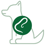 Gusanos