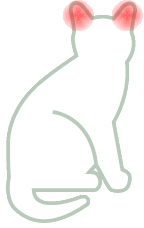 Oídos