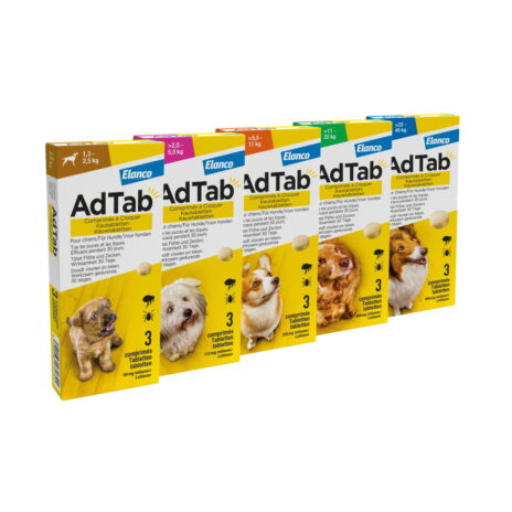 AdTab hond