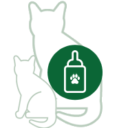 Gatitos